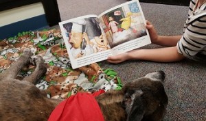 Dog listening to young reader