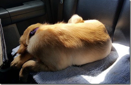 TruckinTired TruckinTired