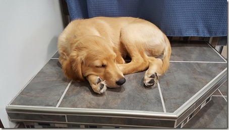 TubtimeTired TubtimeTired