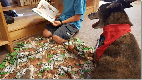 Child reading to greyhound