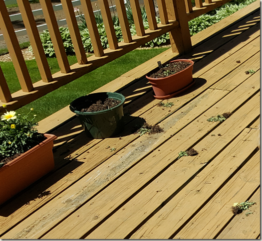 Planters without plants