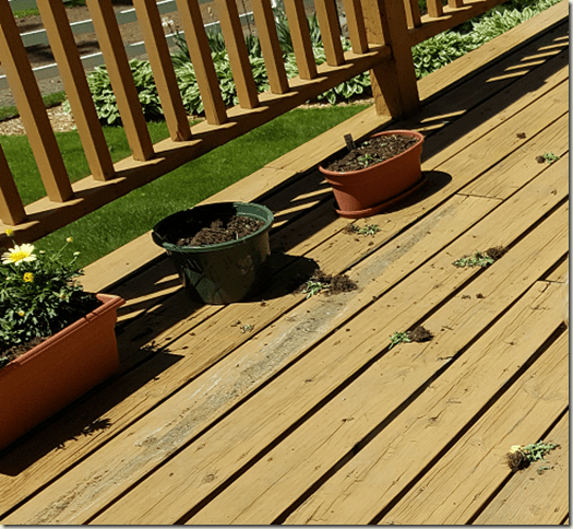 Planters without plants