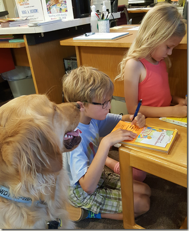 Dog with children at library