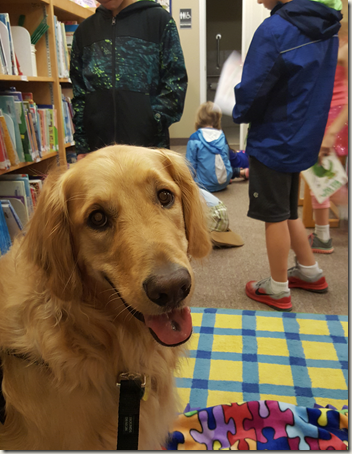 Dog in library