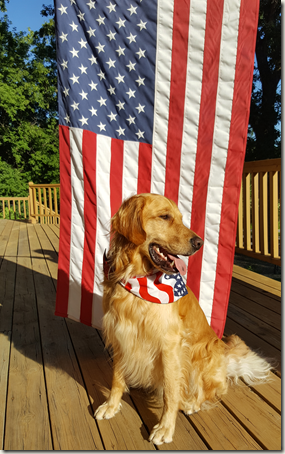 4thOfJuly18 Dog and flag