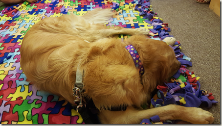 Resting Rowdy Dog sleeping on blanket